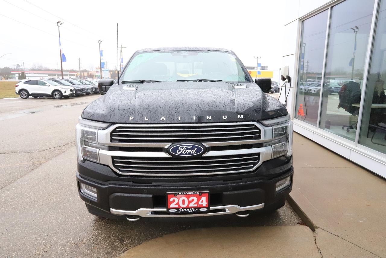 2024 Ford F-150 Platinum 4WD SuperCrew 5.5' Box Photo