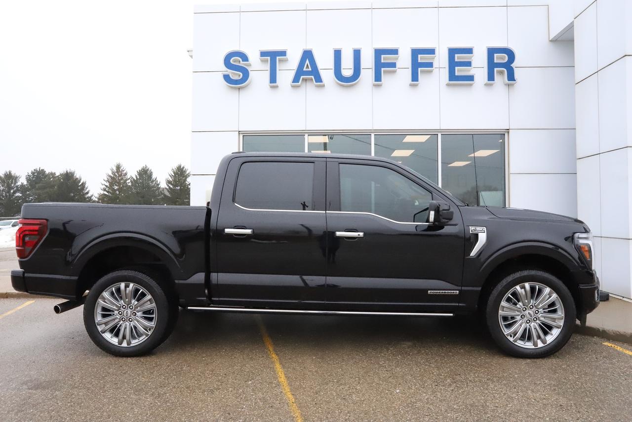 2024 Ford F-150 Platinum 4WD SuperCrew 5.5' Box Photo2