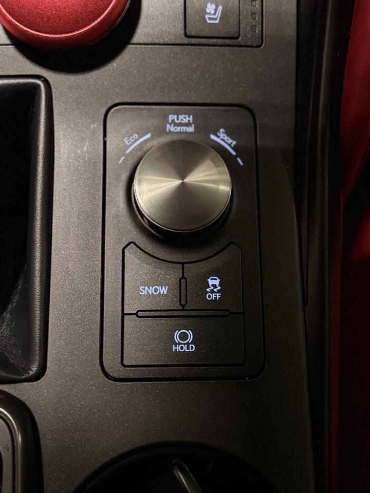 2021 Lexus IS IS 300 | F SPORT | RED INTERIOR | Photo