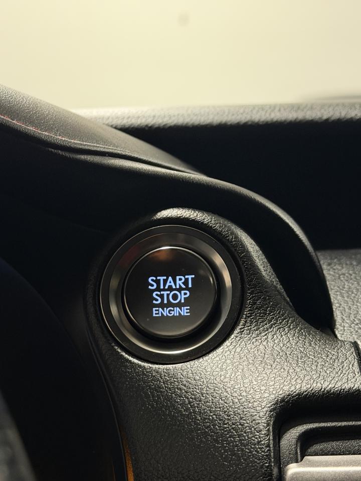 2021 Lexus IS IS 300 | F SPORT | RED INTERIOR | Photo