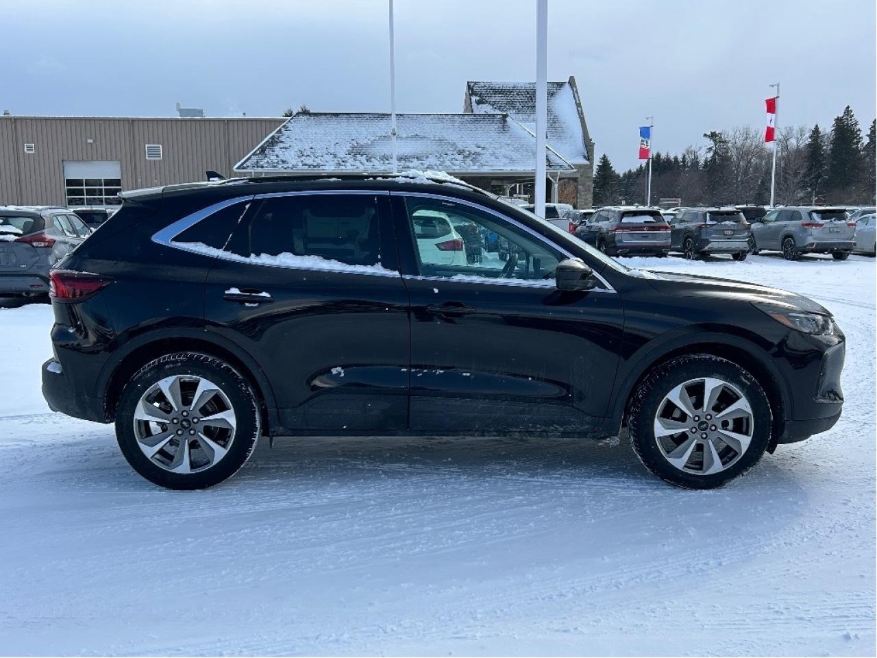 2025 Ford Escape Platinum AWD   Nav   Heated Seats & Steering Wheel Photo
