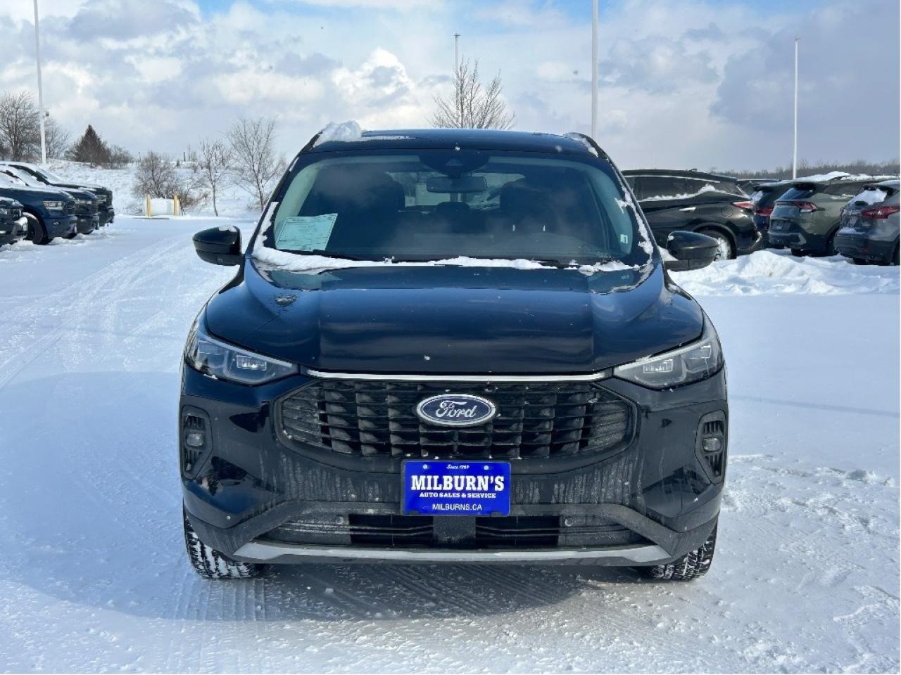 2025 Ford Escape Platinum AWD   Nav   Heated Seats & Steering Wheel Photo