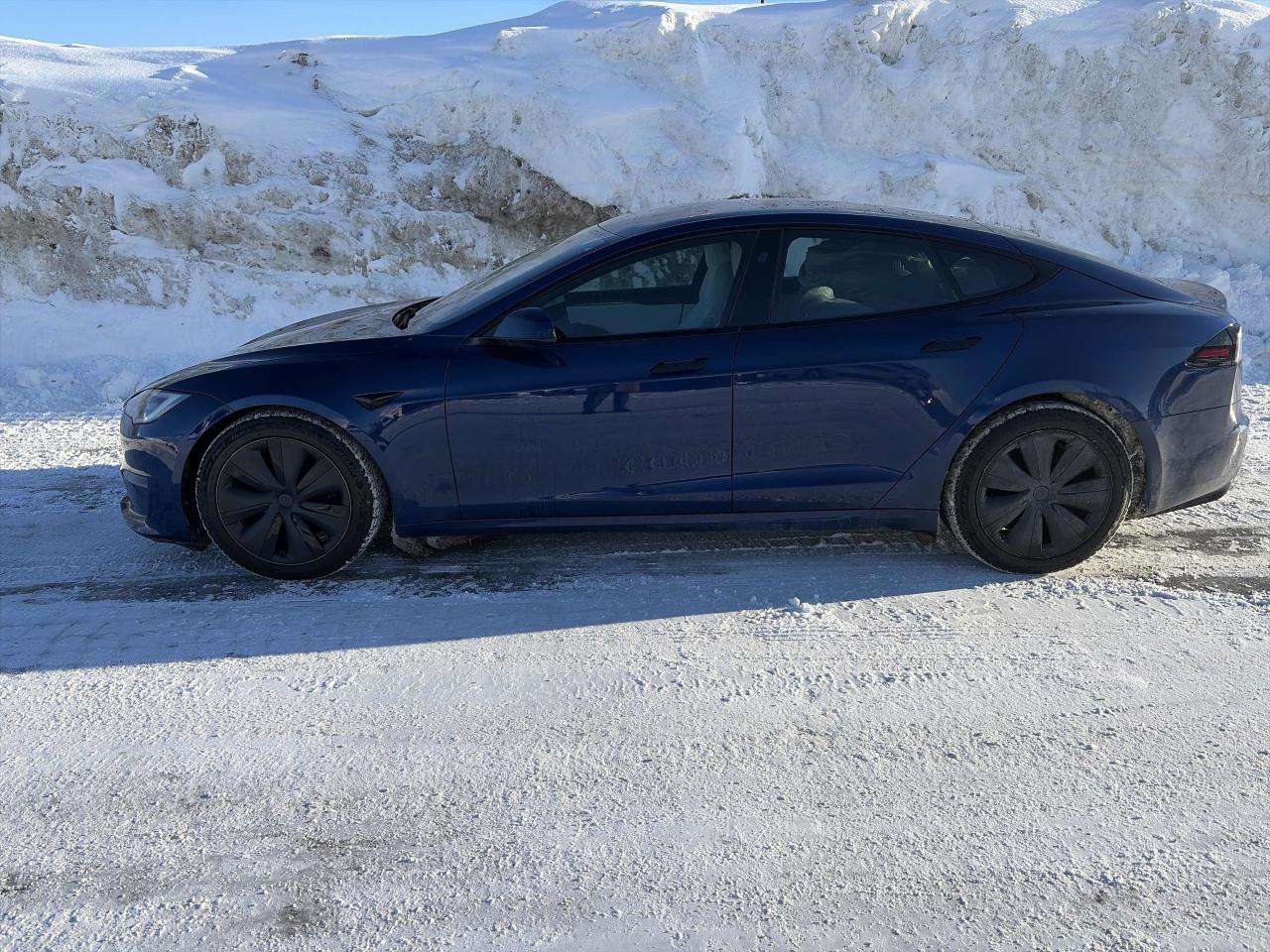 2022 Tesla Model S  Photo