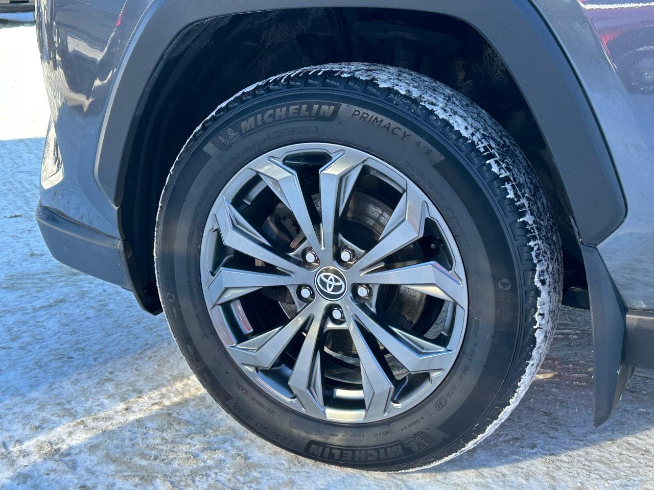 2021 Toyota RAV4 XLE AWD Photo