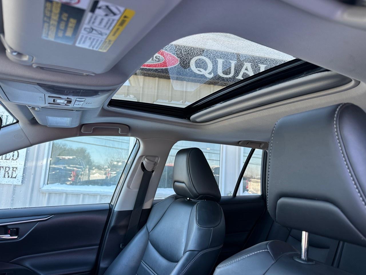 2021 Toyota RAV4 XLE AWD Photo