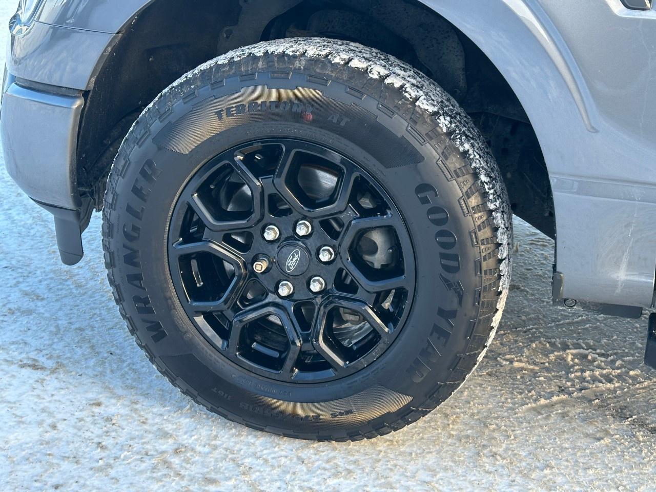 2022 Ford F-150 XLT 4WD SuperCrew 5.5' Box Photo