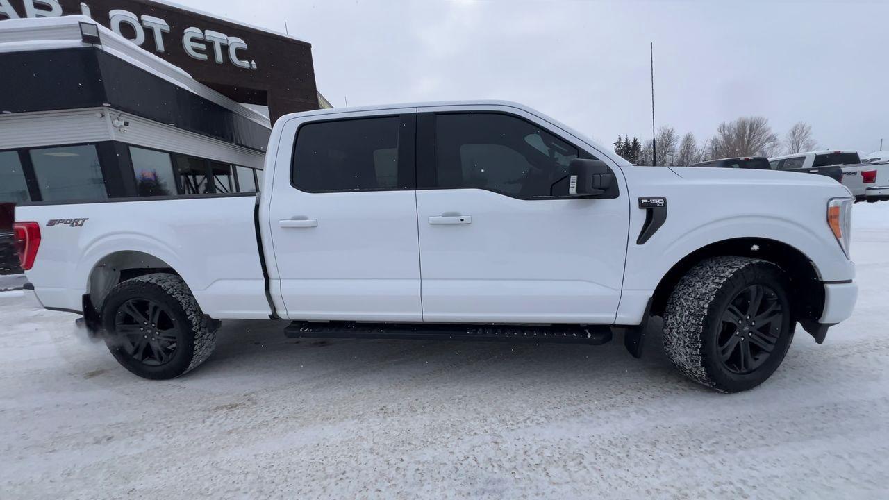 2023 Ford F-150 XLT 4X4 Photo3