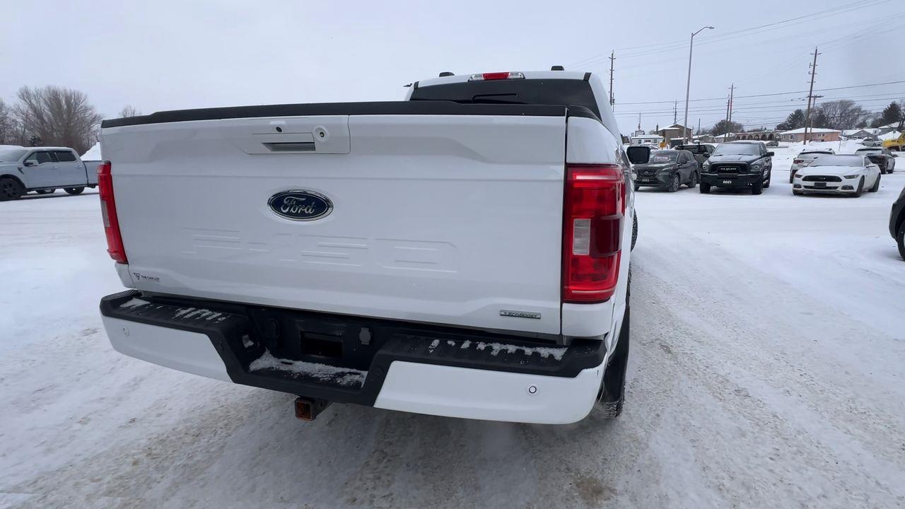 2023 Ford F-150 XLT 4X4 Photo