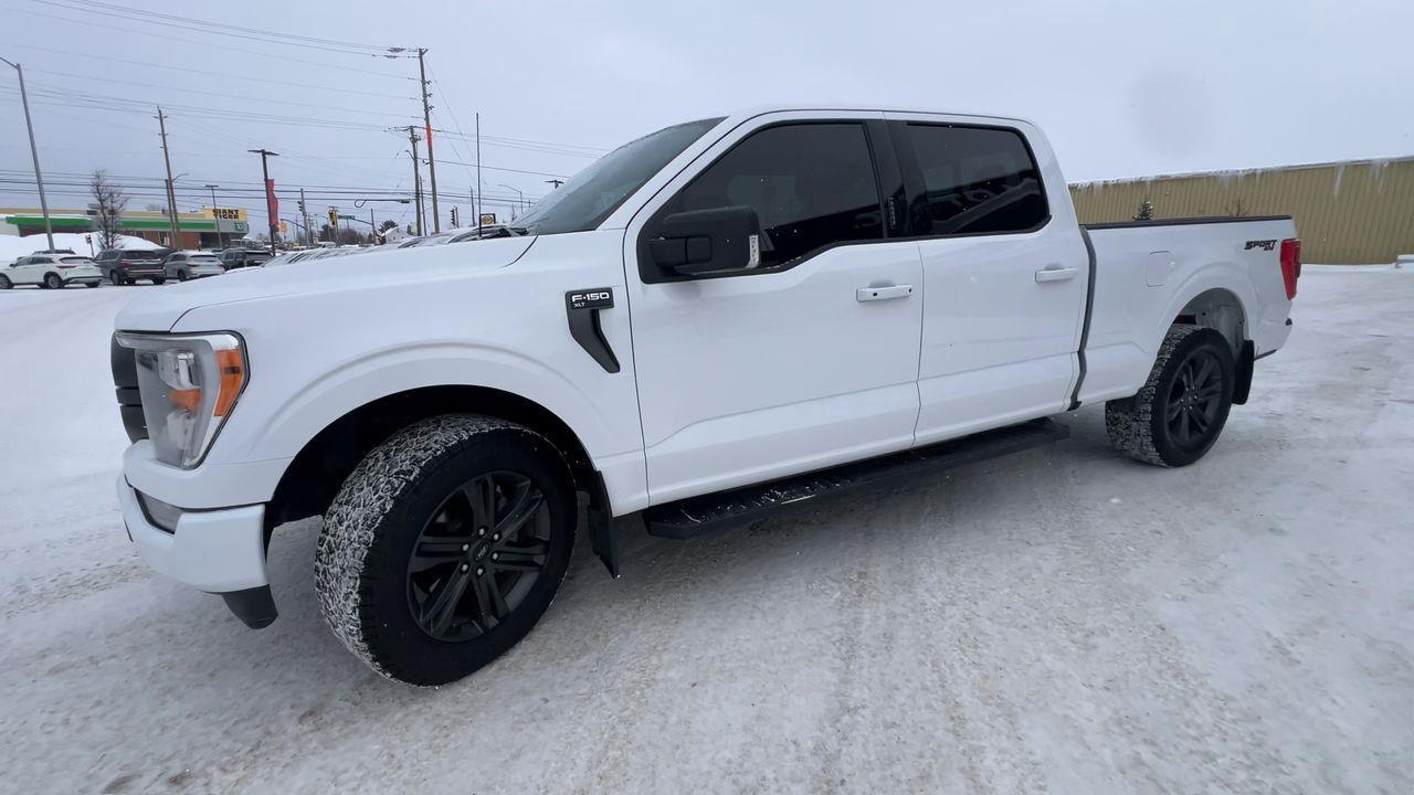 2023 Ford F-150 XLT 4X4 Photo