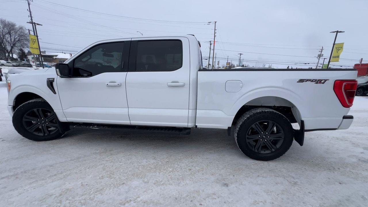 2023 Ford F-150 XLT 4X4 Photo