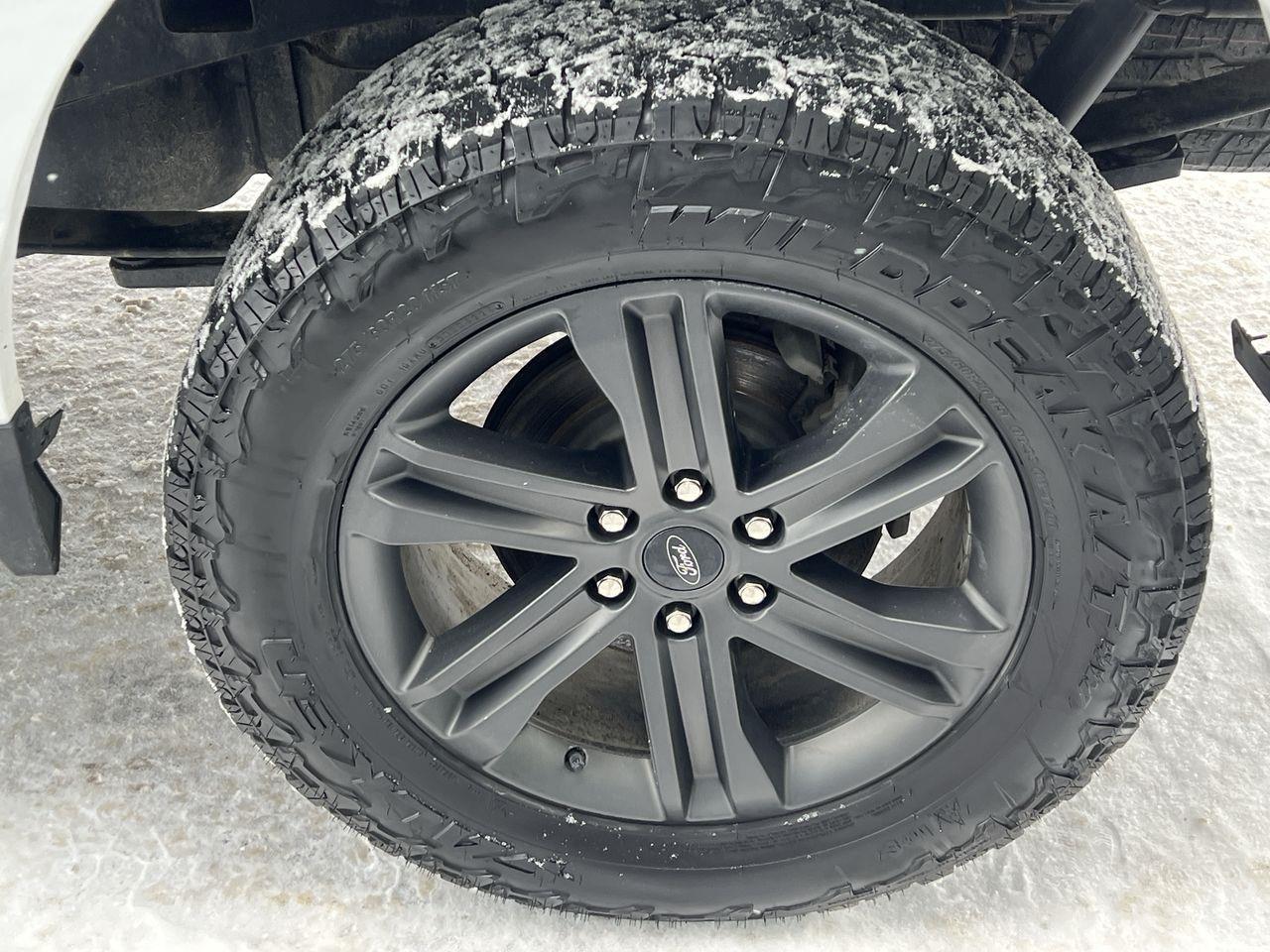 2023 Ford F-150 XLT 4X4 Photo