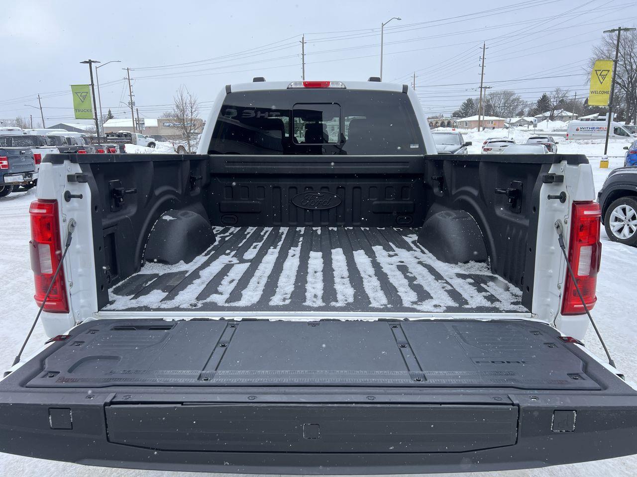 2023 Ford F-150 XLT 4X4 Photo