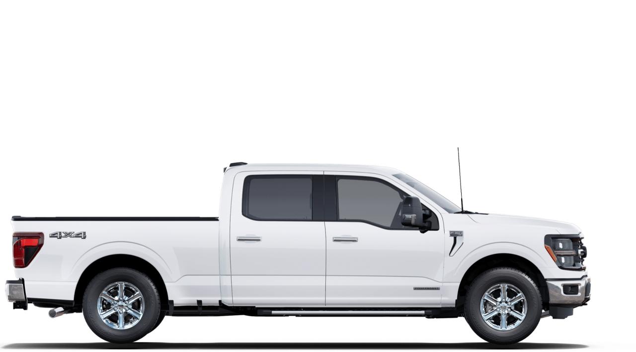 2025 Ford F-150 XLT Photo5