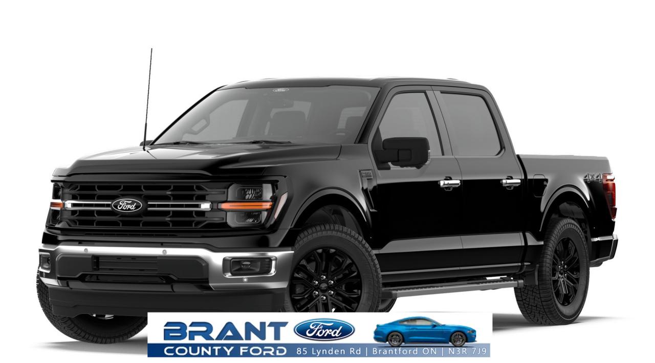 2026 Ford F-150 XLT Photo