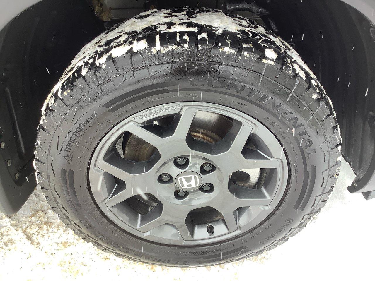 2023 Honda Pilot TRAIL SPORT Photo