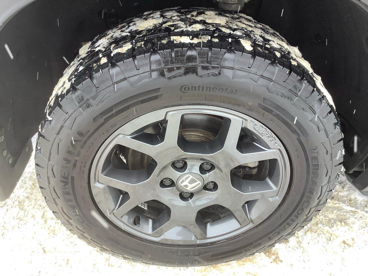 2023 Honda Pilot TRAIL SPORT Photo