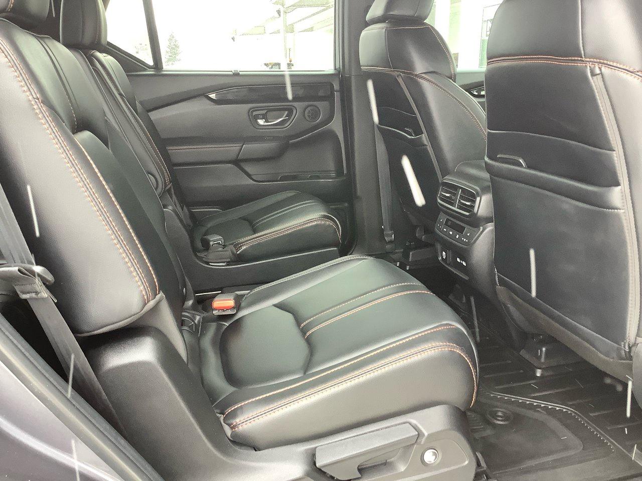 2023 Honda Pilot TRAIL SPORT Photo