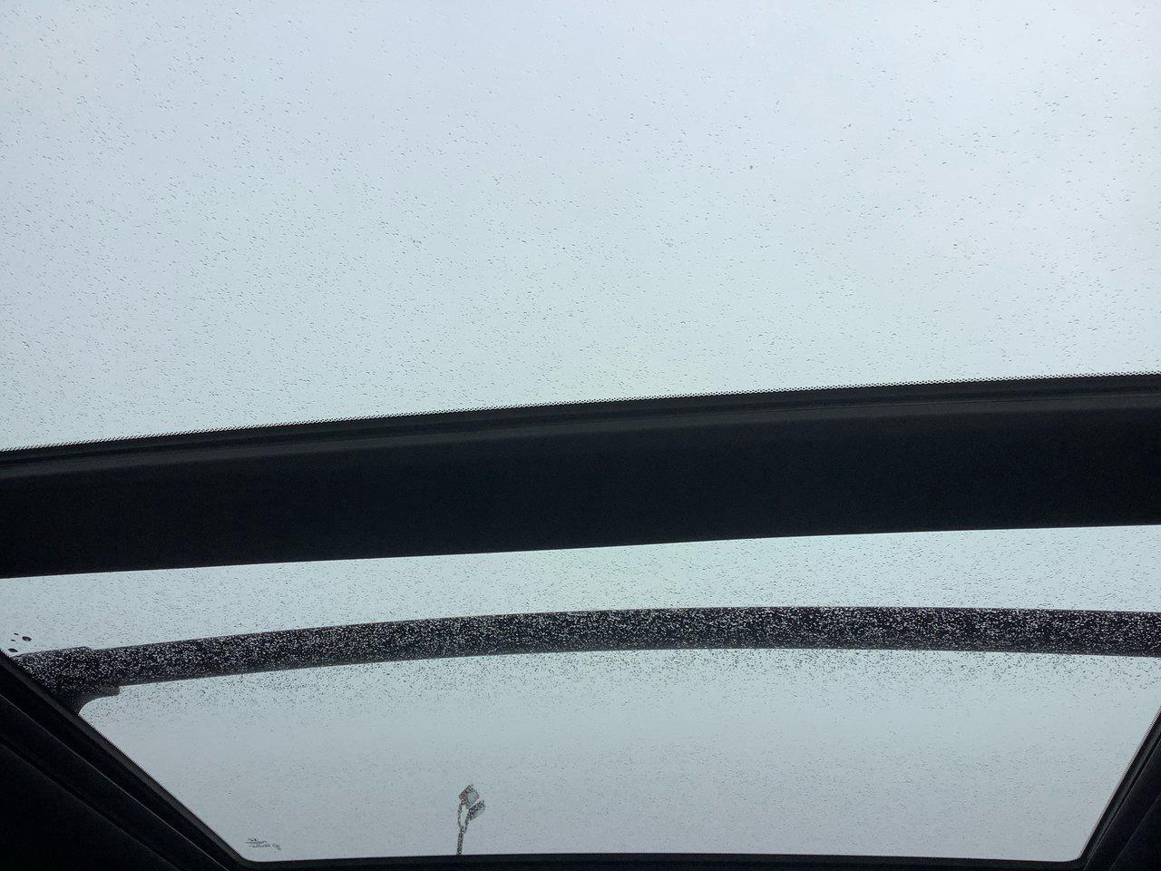 2023 Honda Pilot TRAIL SPORT Photo