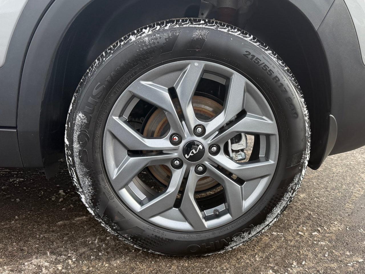 2025 Kia Seltos EX AWD Pkg.   Heated Seats & Steering Wheel Photo