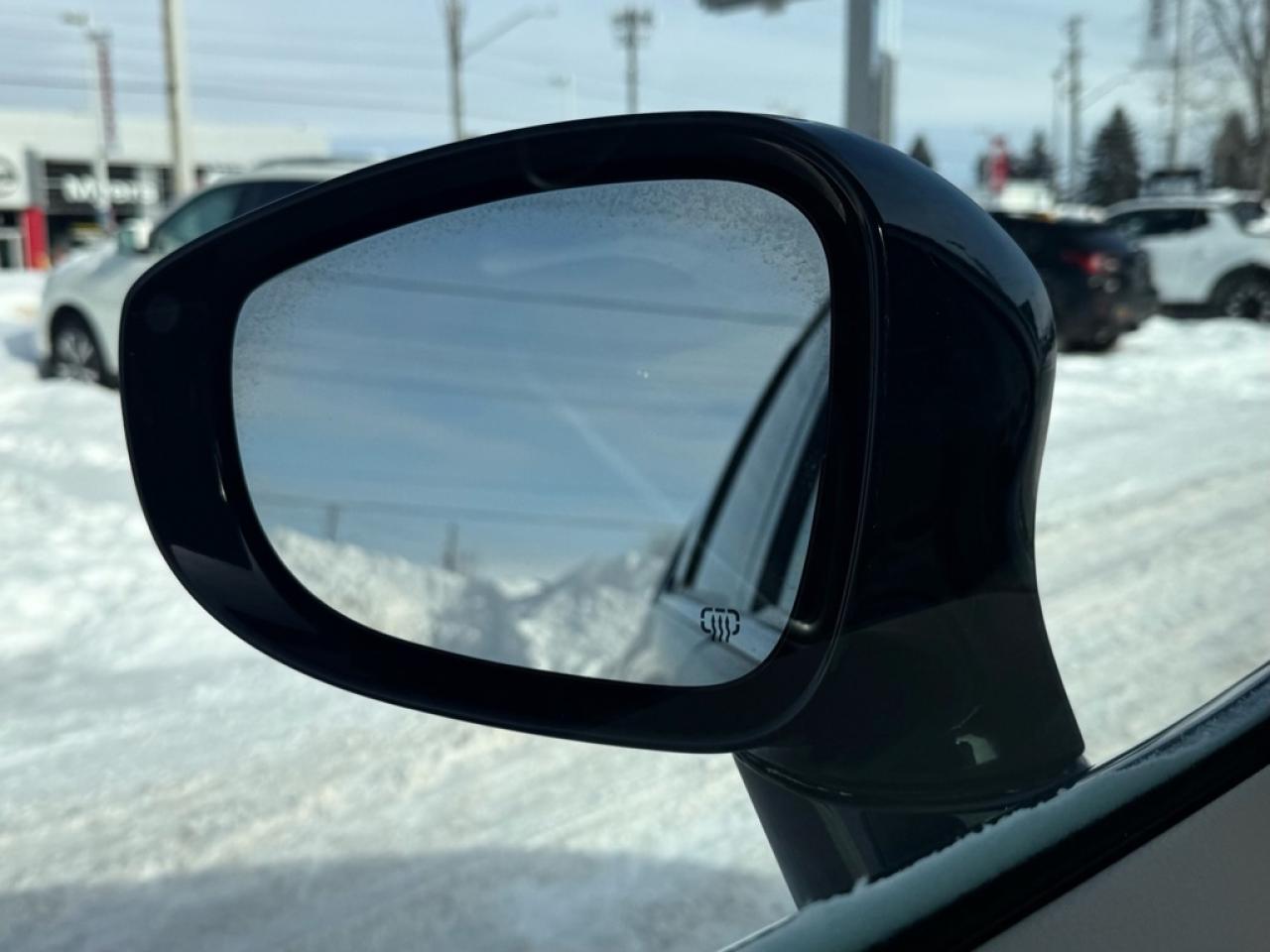 2017 Chrysler Pacifica Touring-L  - Leather Seats Photo