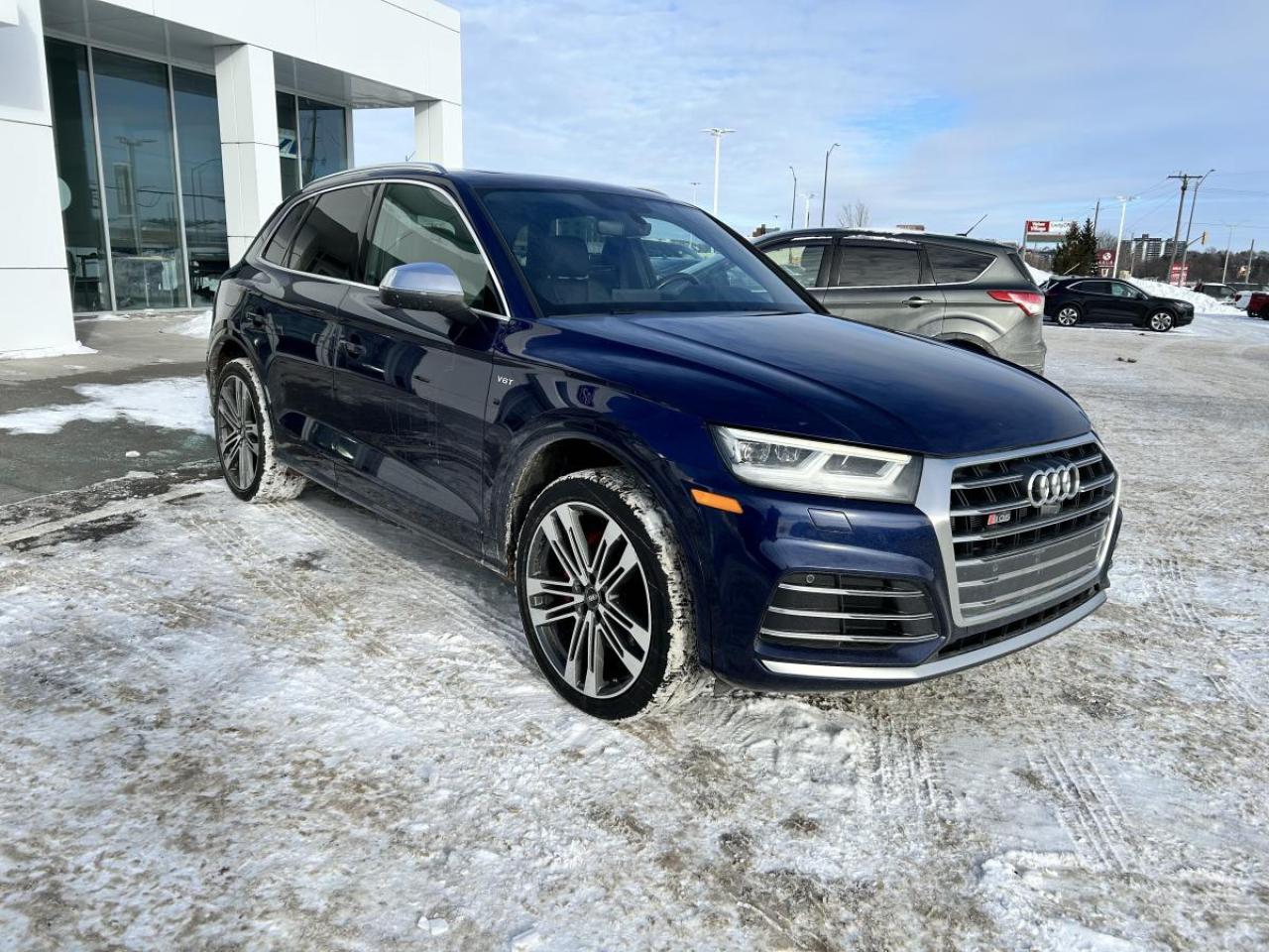 2018 Audi SQ5 Technik Photo