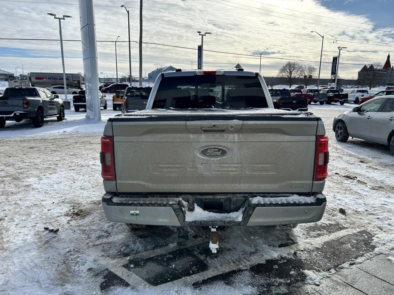 2022 Ford F-150 XLT Photo