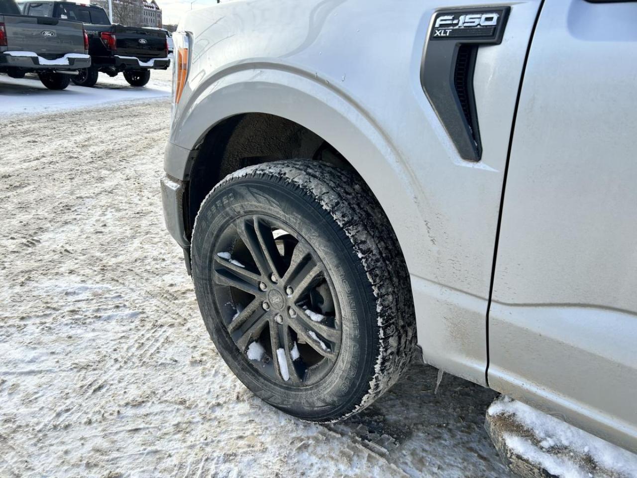 2022 Ford F-150 XLT Photo