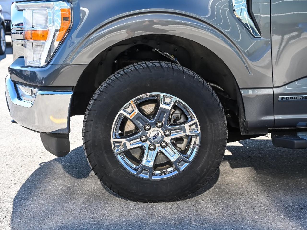 2022 Ford F-150 XLT Photo