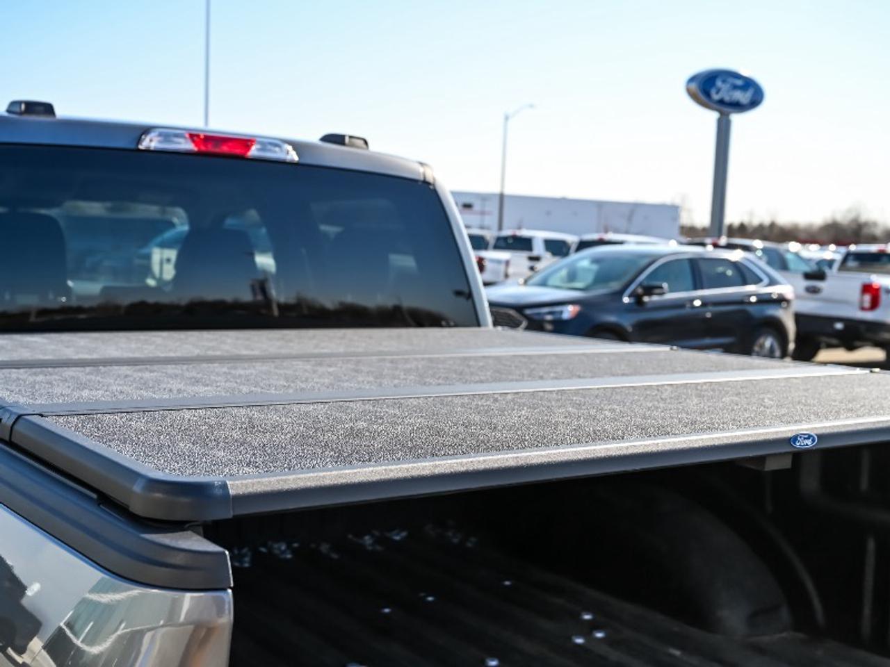 2022 Ford F-150 XLT Photo