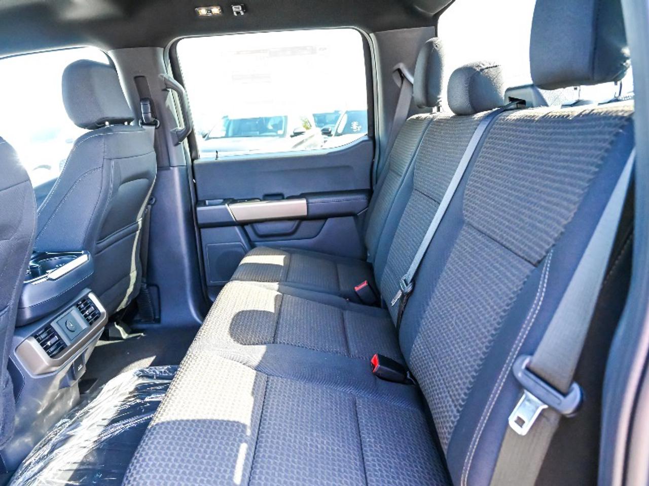 2026 Ford F-150 STX Photo