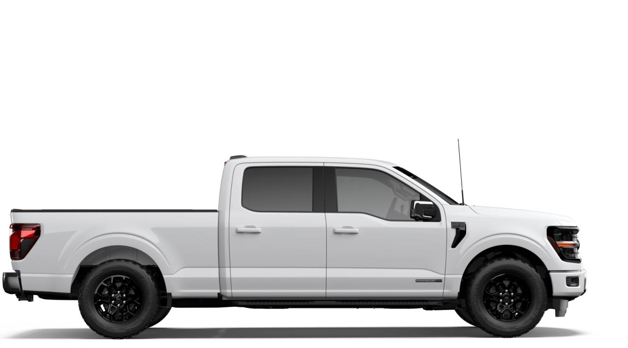 2026 Ford F-150 XLT Photo