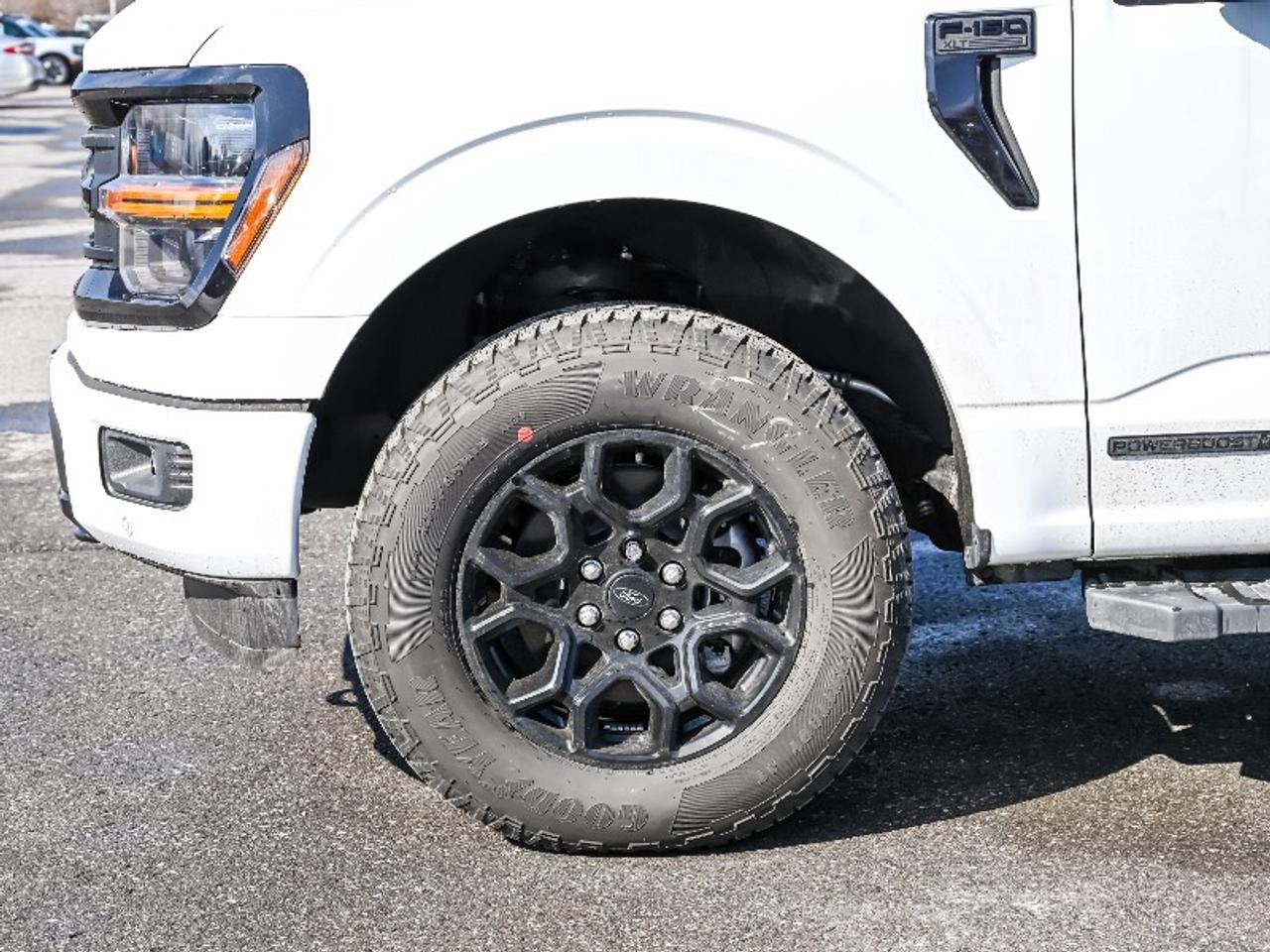 2026 Ford F-150 XLT Photo