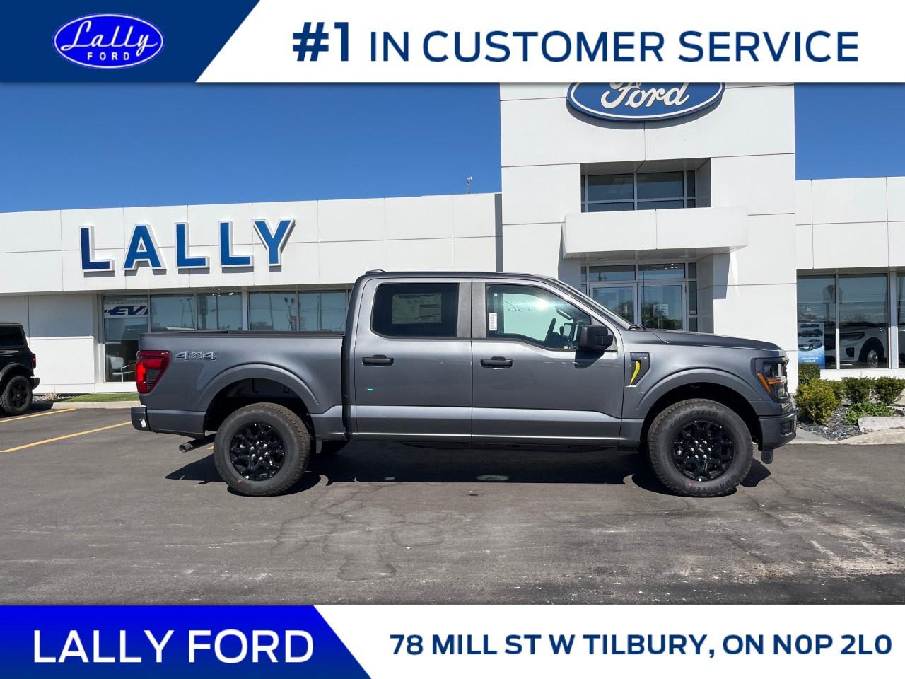 2025 Ford F-150 STX 4WD SuperCrew 5.5' Box Photo