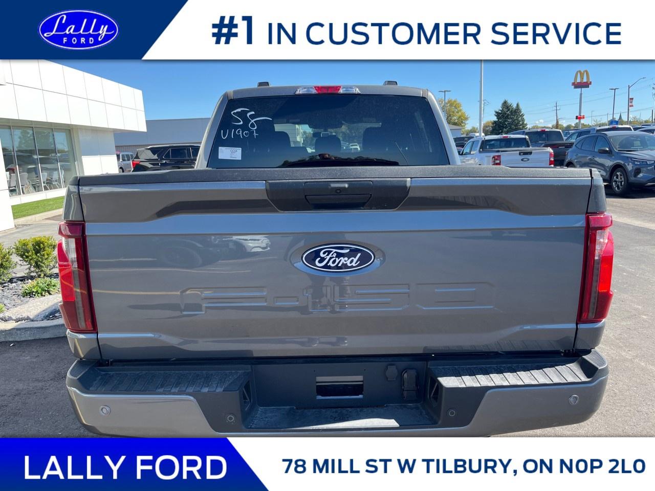 2025 Ford F-150 STX 4WD SuperCrew 5.5' Box Photo3