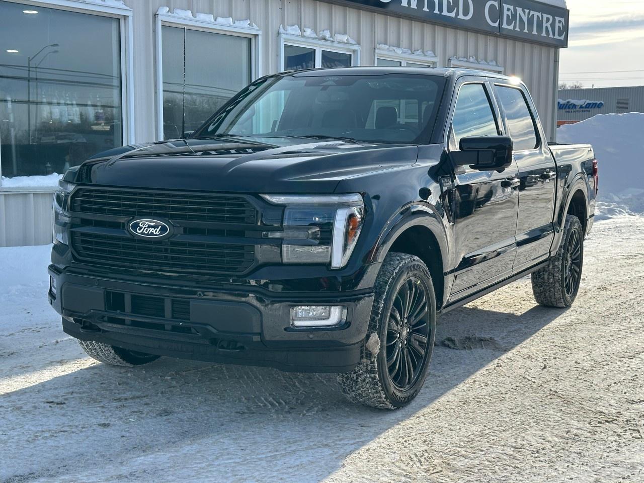 2026 Ford F-150 Platinum 4WD SuperCrew 5.5' Box Photo