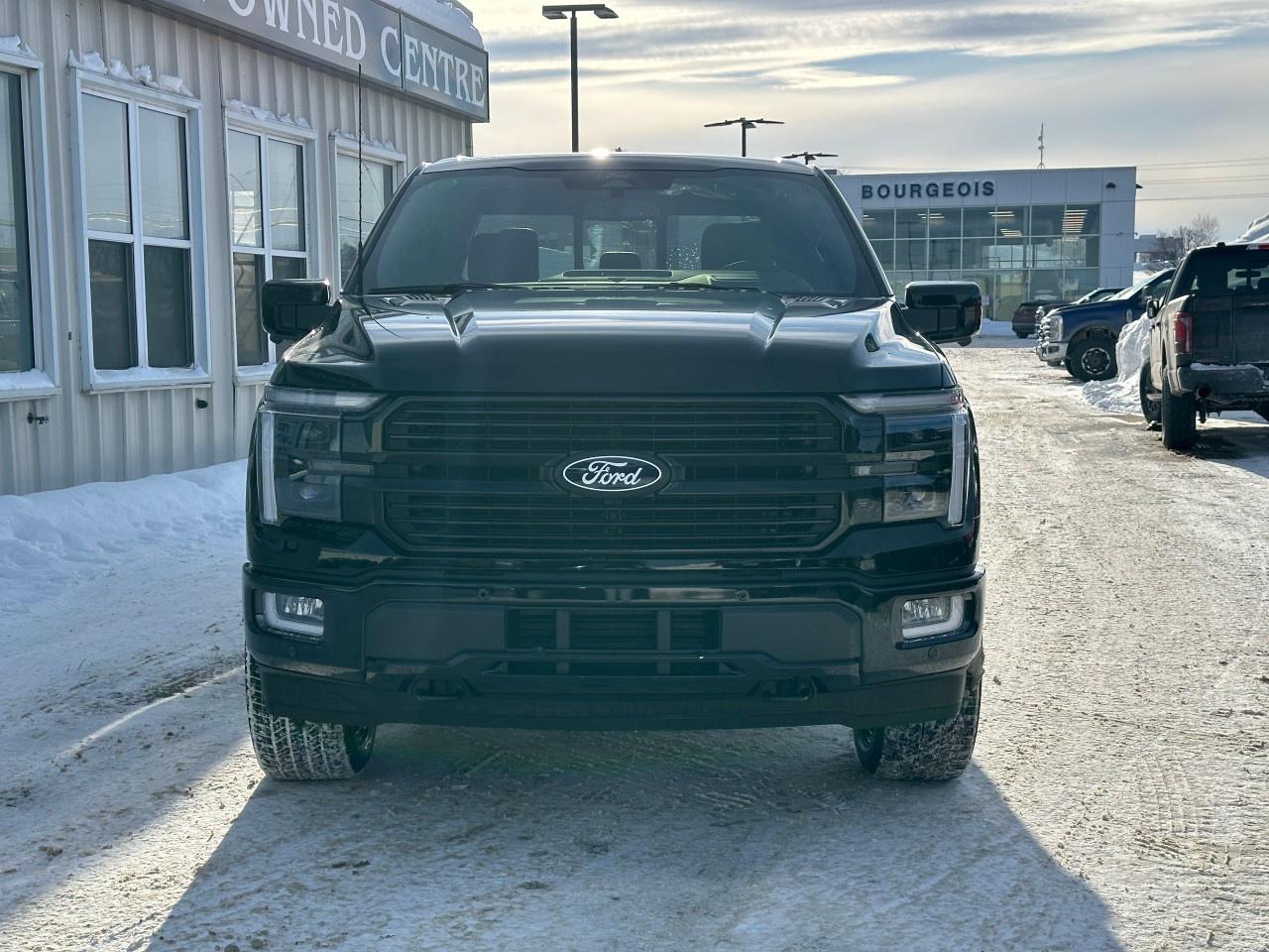 2026 Ford F-150 Platinum 4WD SuperCrew 5.5' Box Photo2