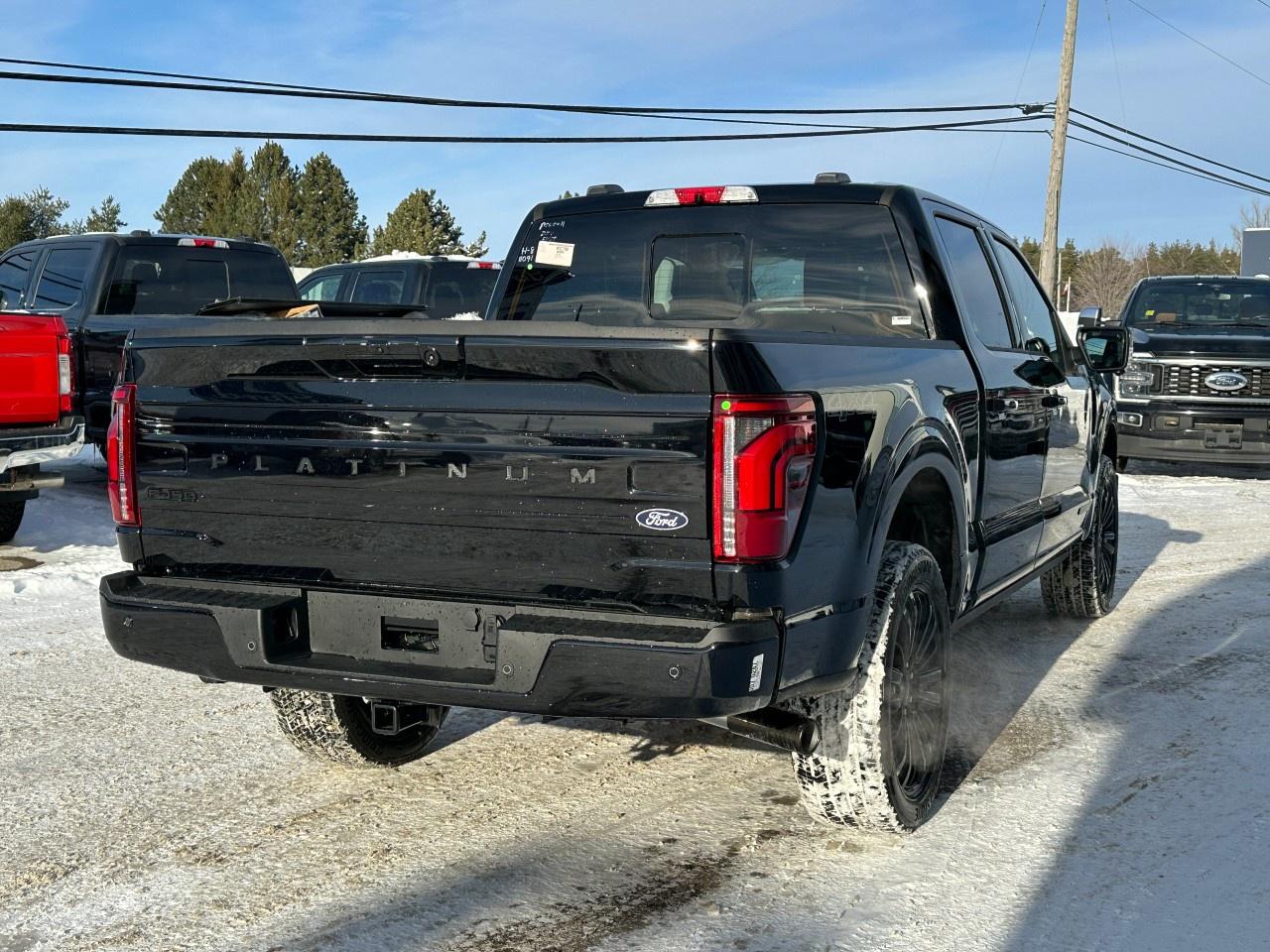2026 Ford F-150 Platinum 4WD SuperCrew 5.5' Box Photo
