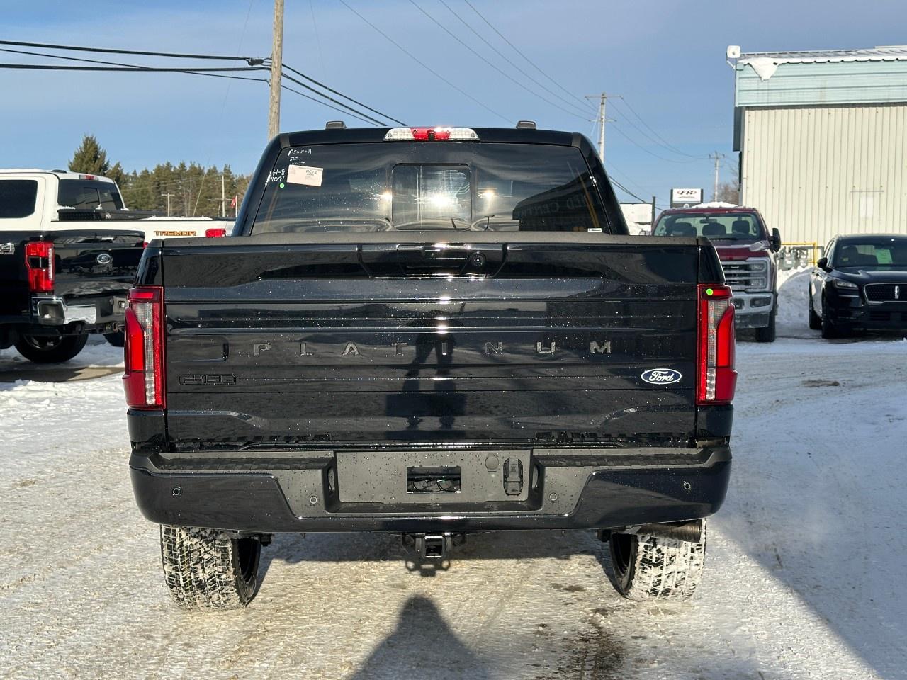 2026 Ford F-150 Platinum 4WD SuperCrew 5.5' Box Photo