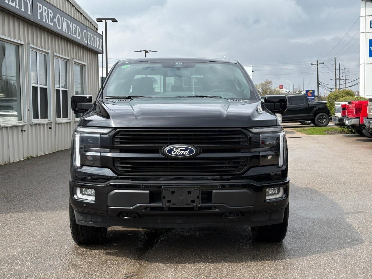 2026 Ford F-150 Platinum 4WD SuperCrew 5.5' Box Photo