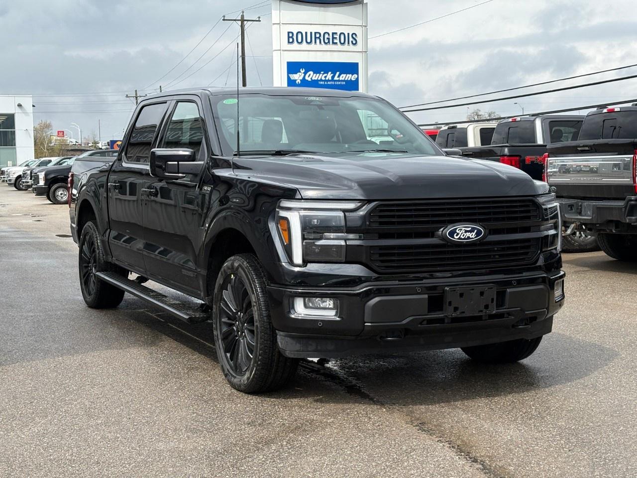 2026 Ford F-150 Platinum 4WD SuperCrew 5.5' Box Photo