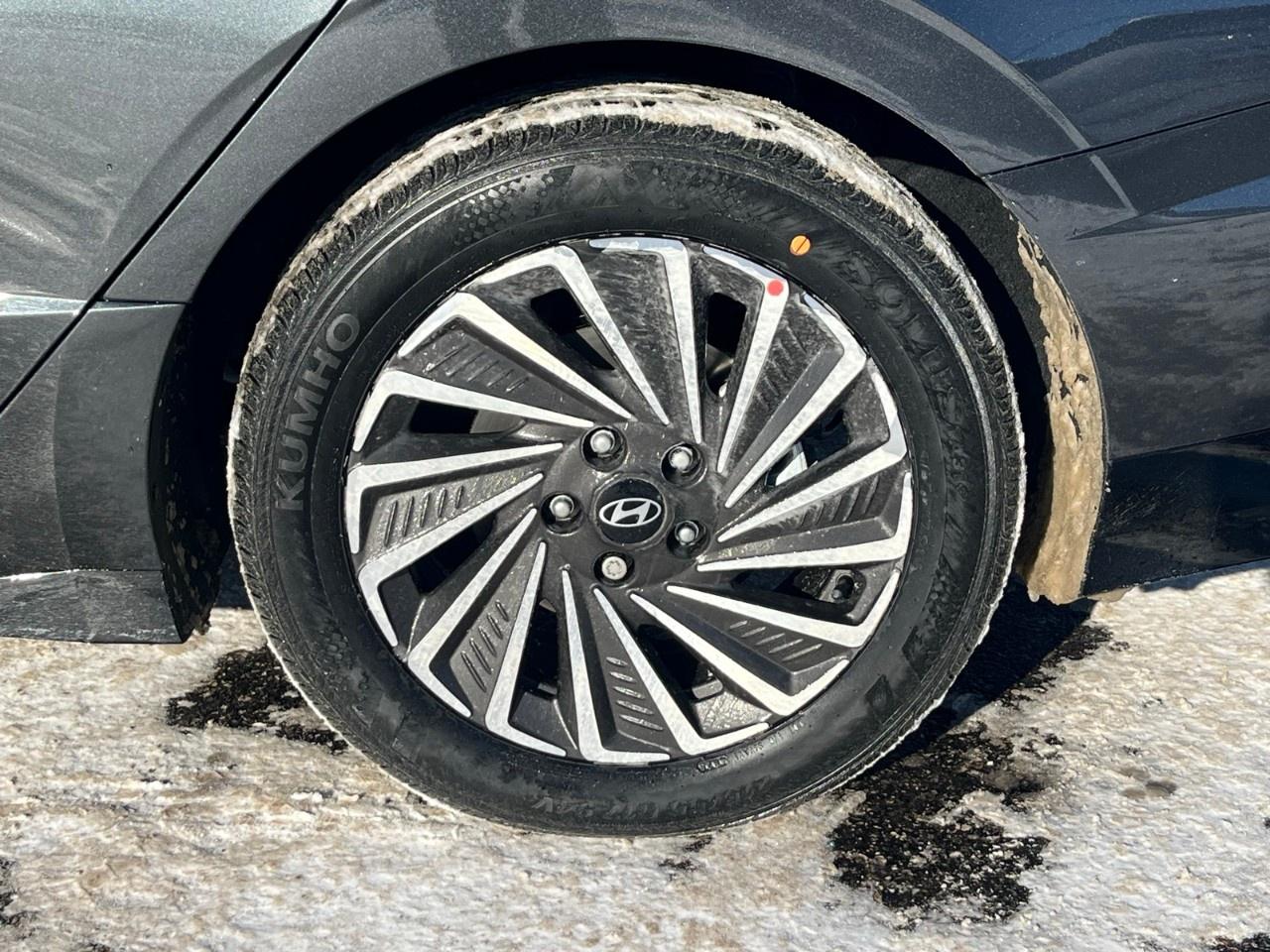 2026 Hyundai Sonata Hybrid Preferred-Trend FWD Photo