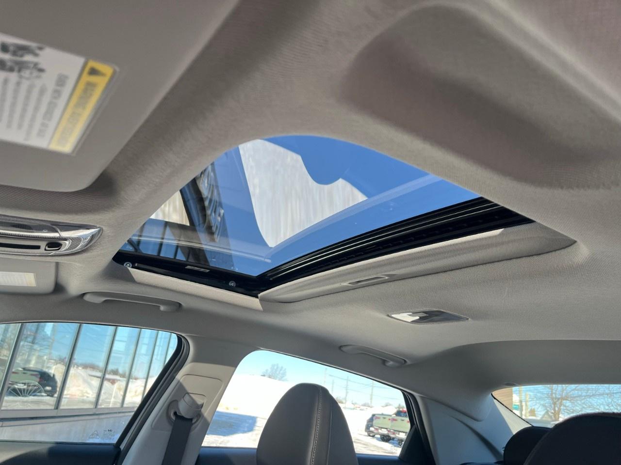 2026 Hyundai Elantra Hybrid Luxury Sedan Photo