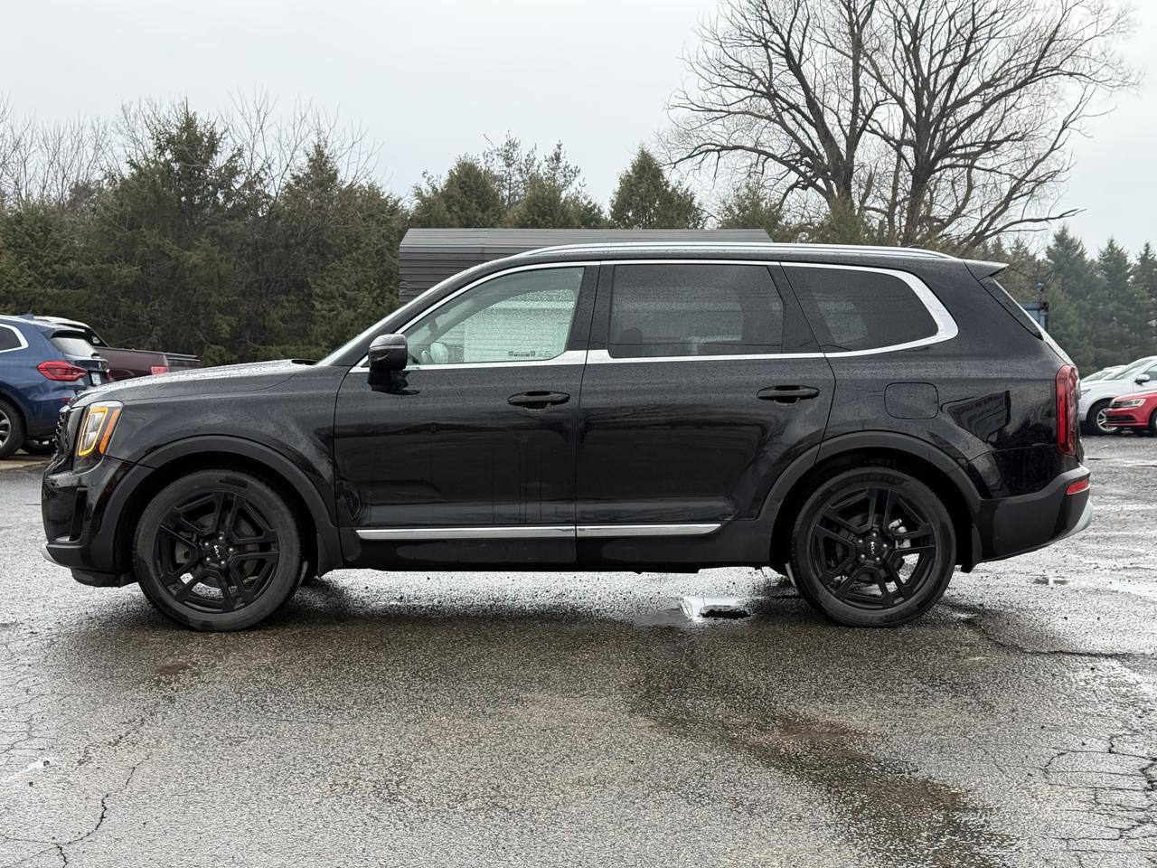 2022 Kia Telluride EX Photo