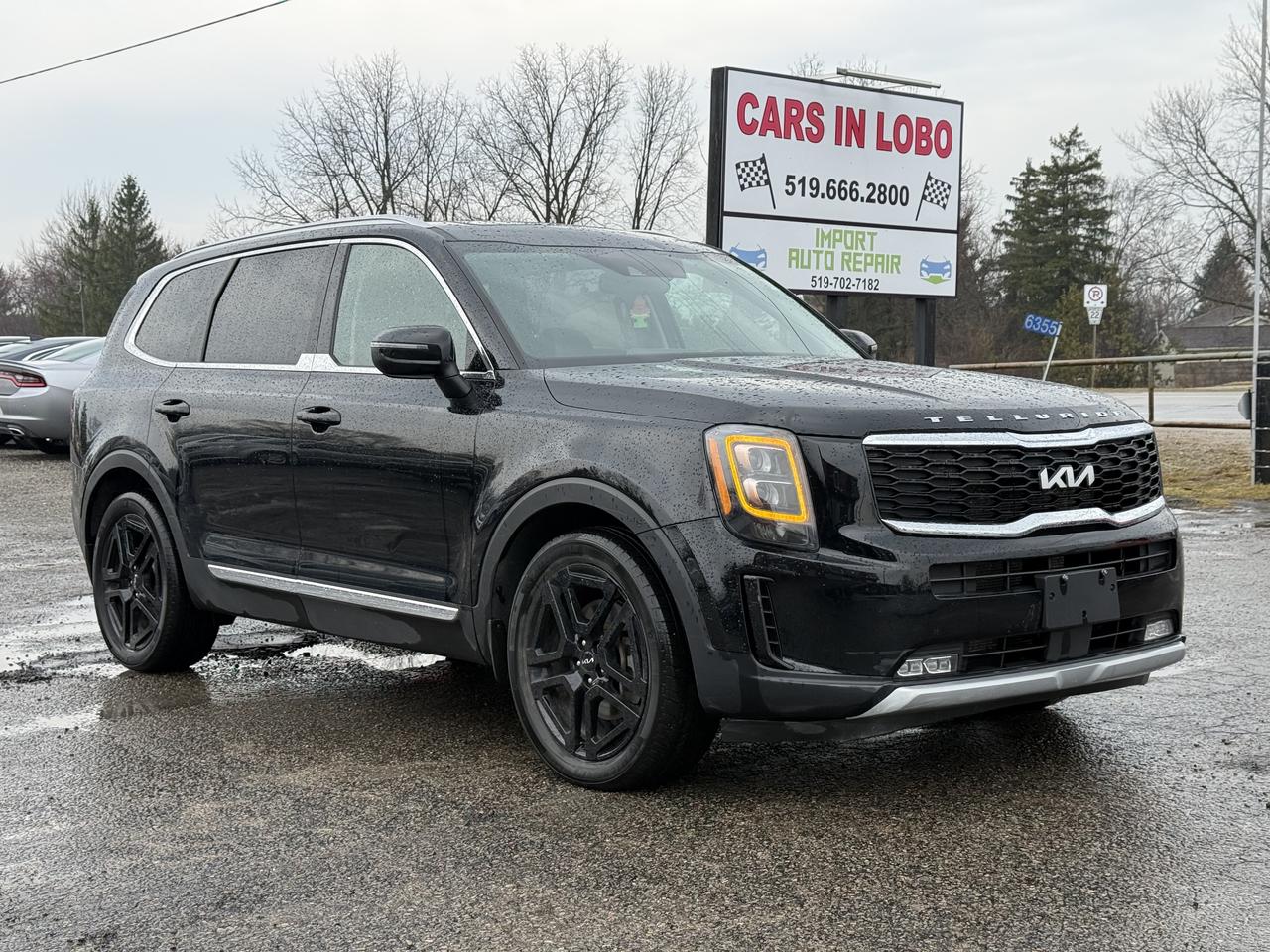 2022 Kia Telluride EX Photo0