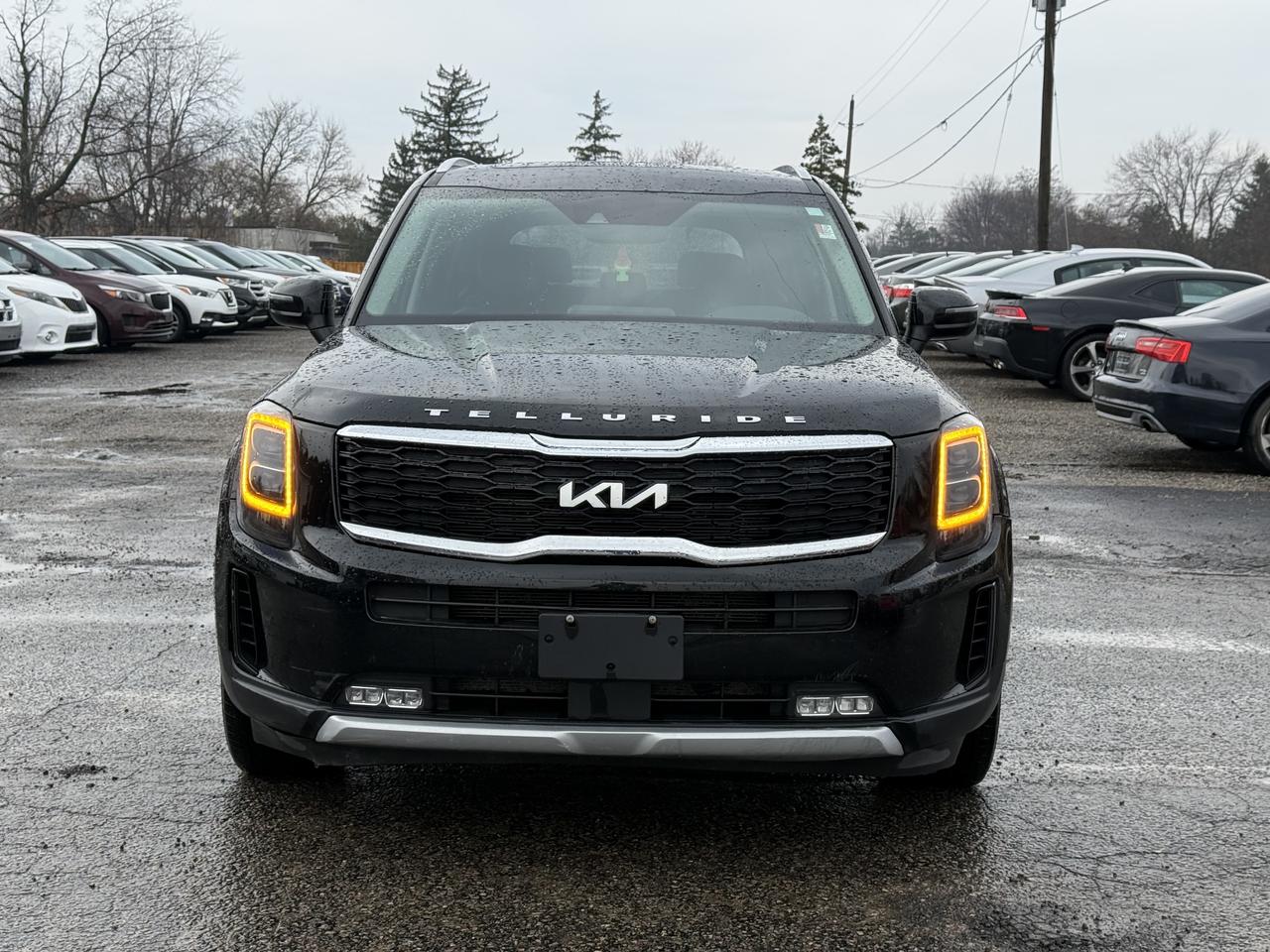 2022 Kia Telluride EX Photo