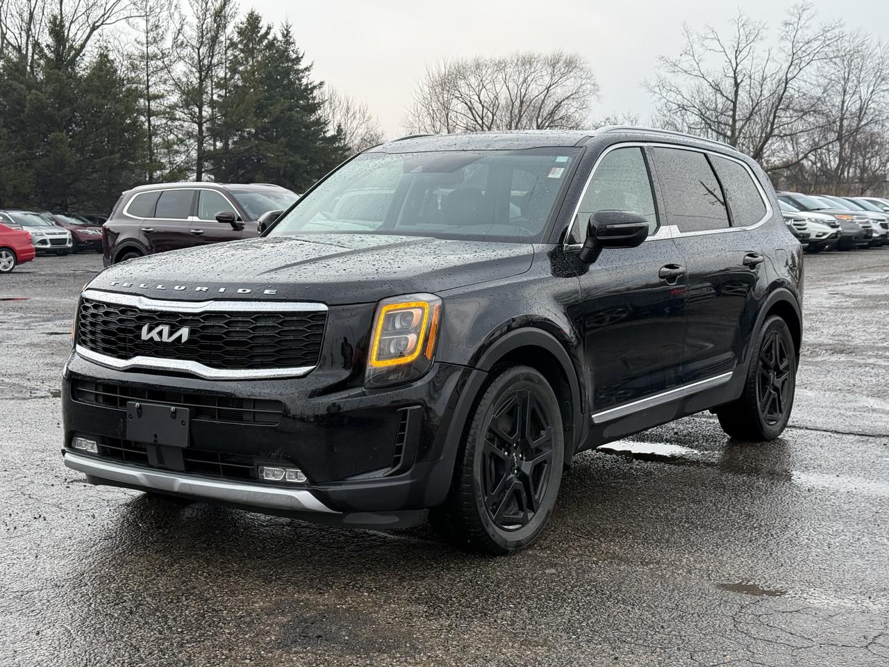 2022 Kia Telluride EX Photo