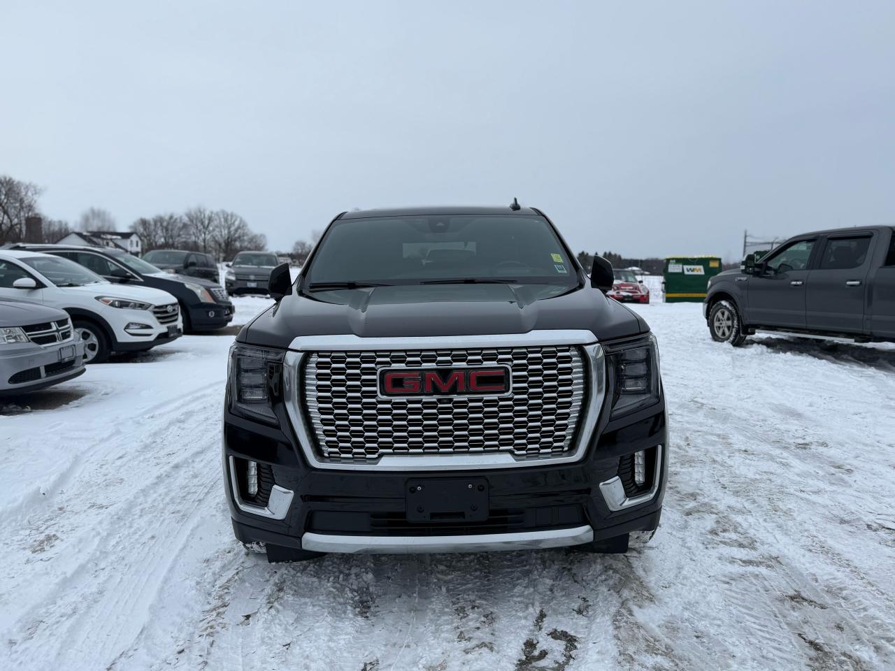 2021 GMC Yukon Denali Photo2