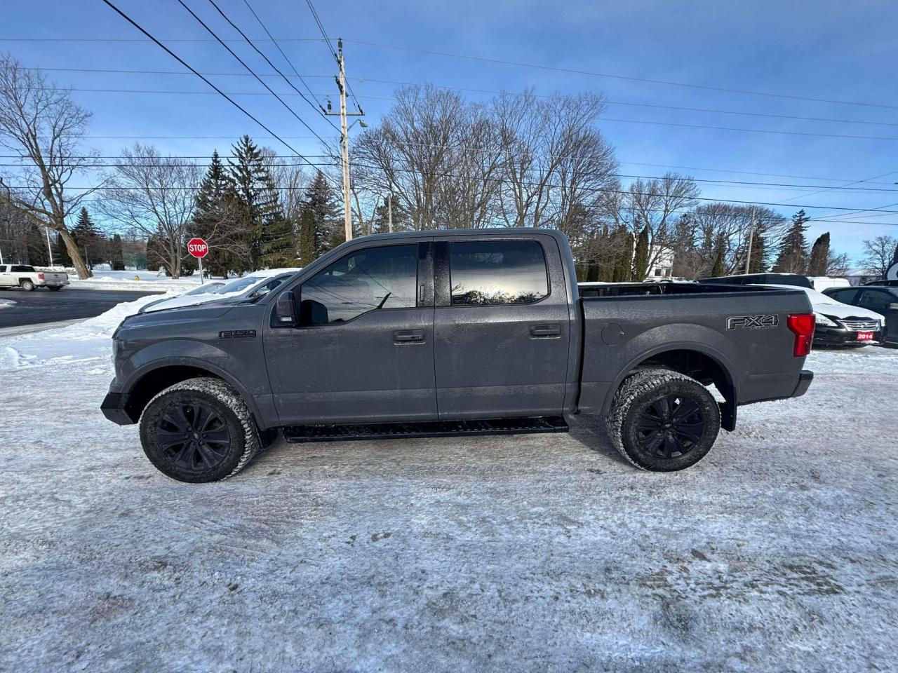 2020 Ford F-150 Lariat Photo