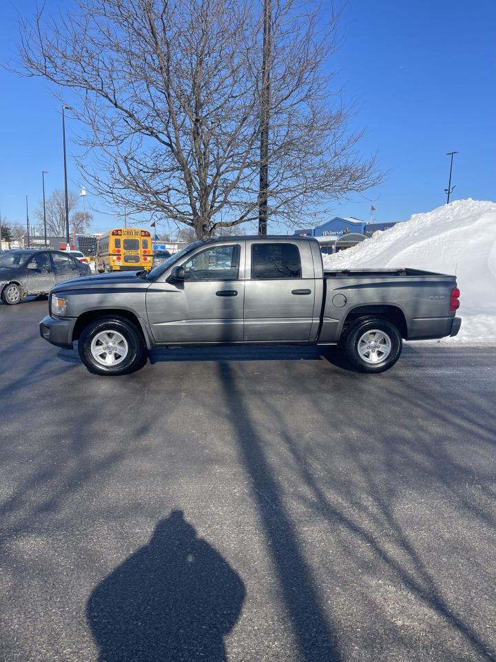 2008 Dodge Dakota SXT    QUAD CAB     4X4 Photo