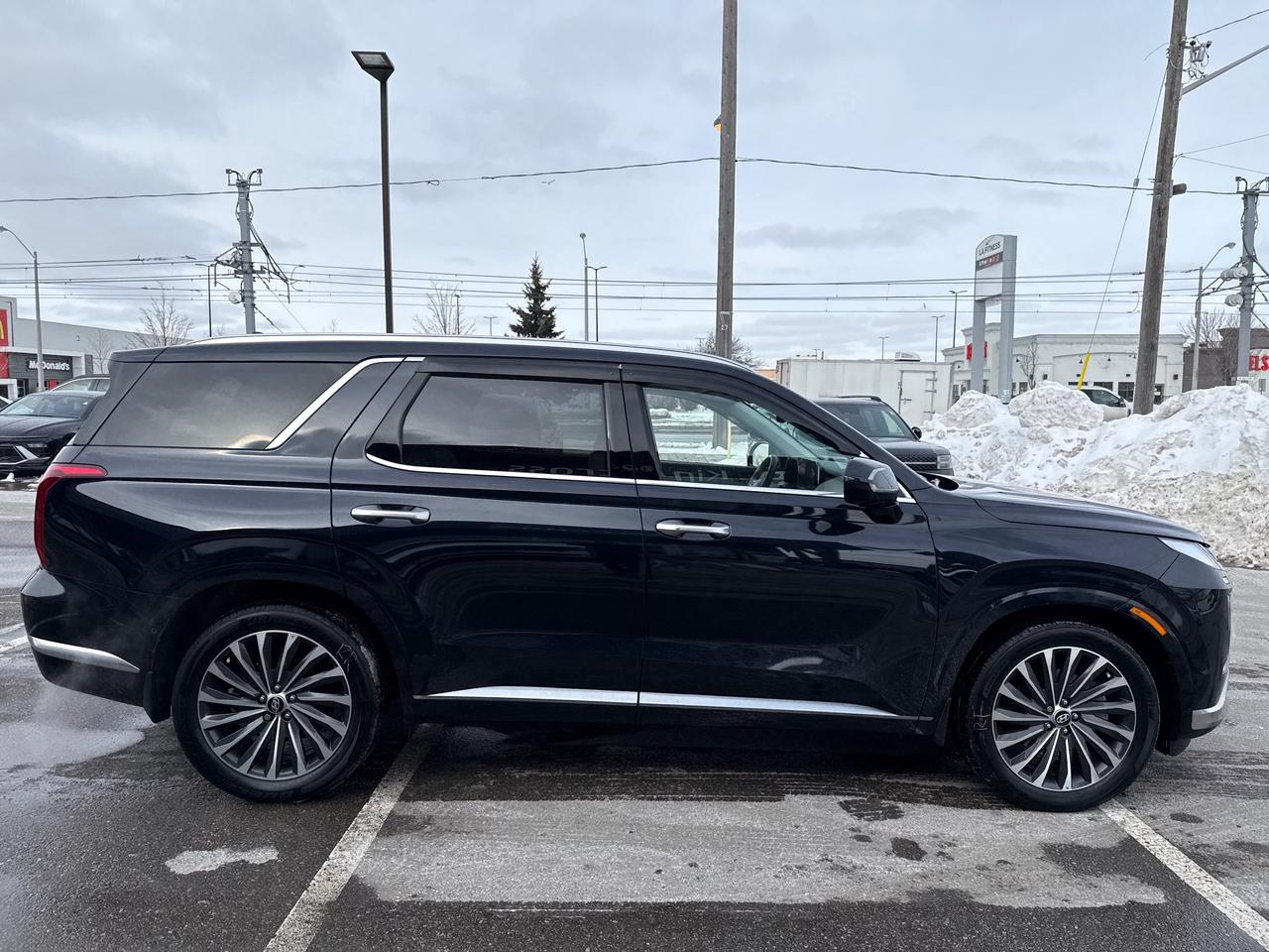 2024 Hyundai PALISADE Ultimate Calligraphy Photo